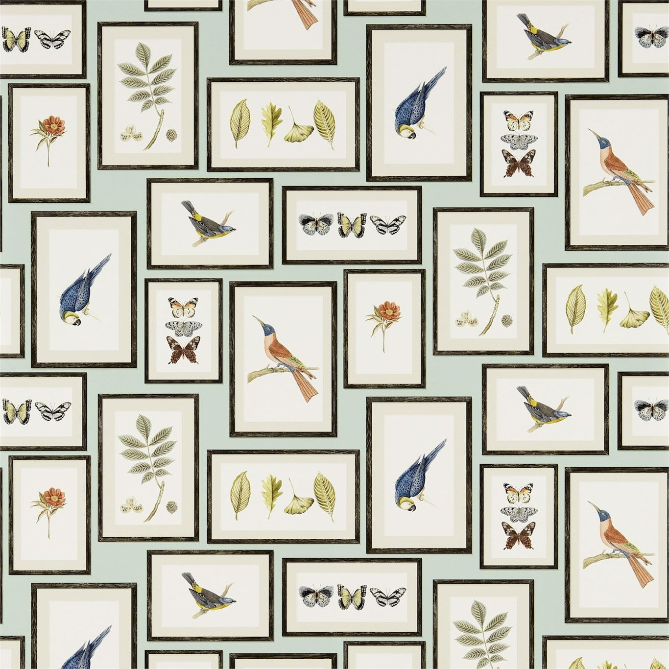 Picture Gallery Wallpaper - Aqua/Multi - DVOY213400