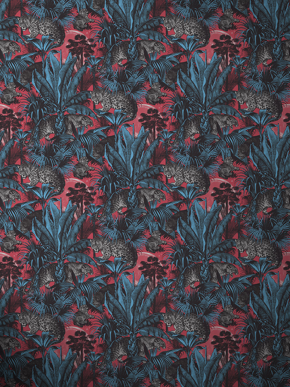 Faunacation Wallpaper