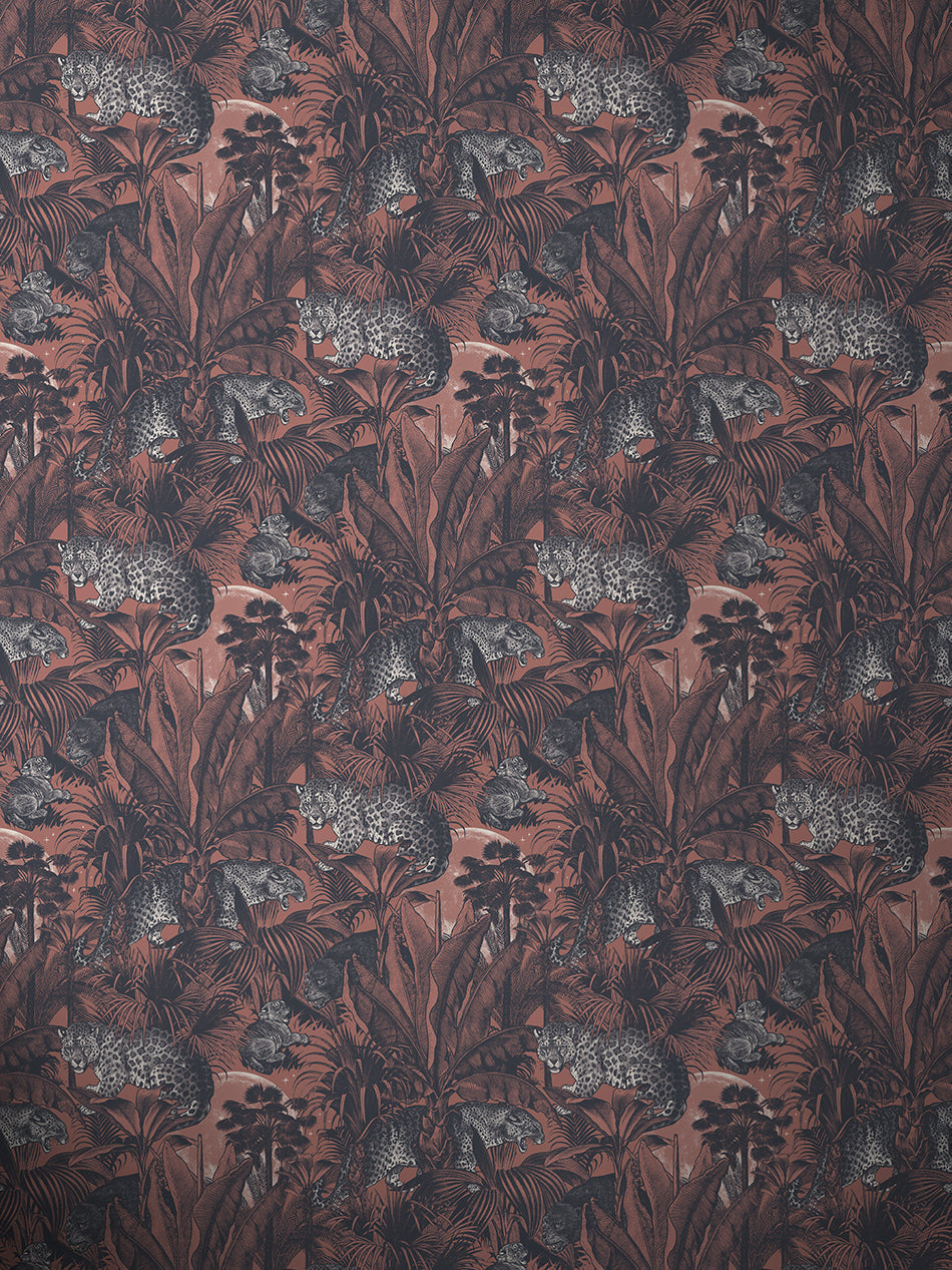 Faunacation Wallpaper