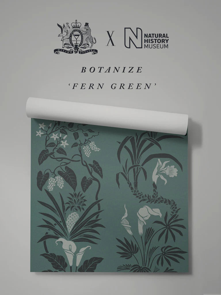 Botanize 'Fern Green' Wallpaper