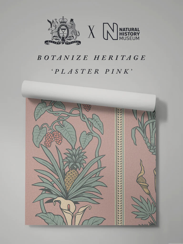 Botanize Heritage 'Plaster Pink' Wallpaper