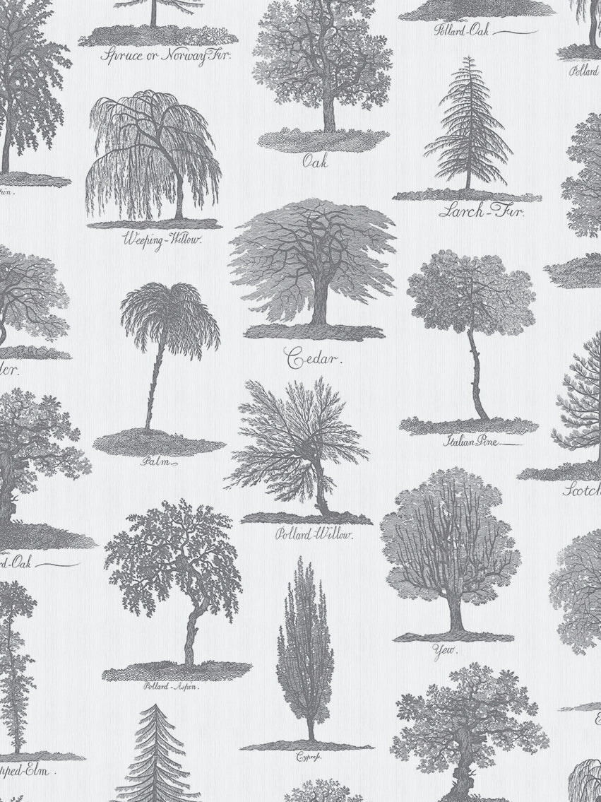 Arboreta Wallpaper