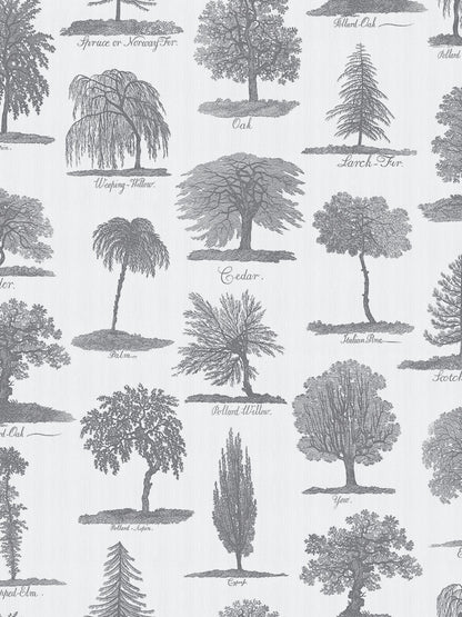 Arboreta Wallpaper