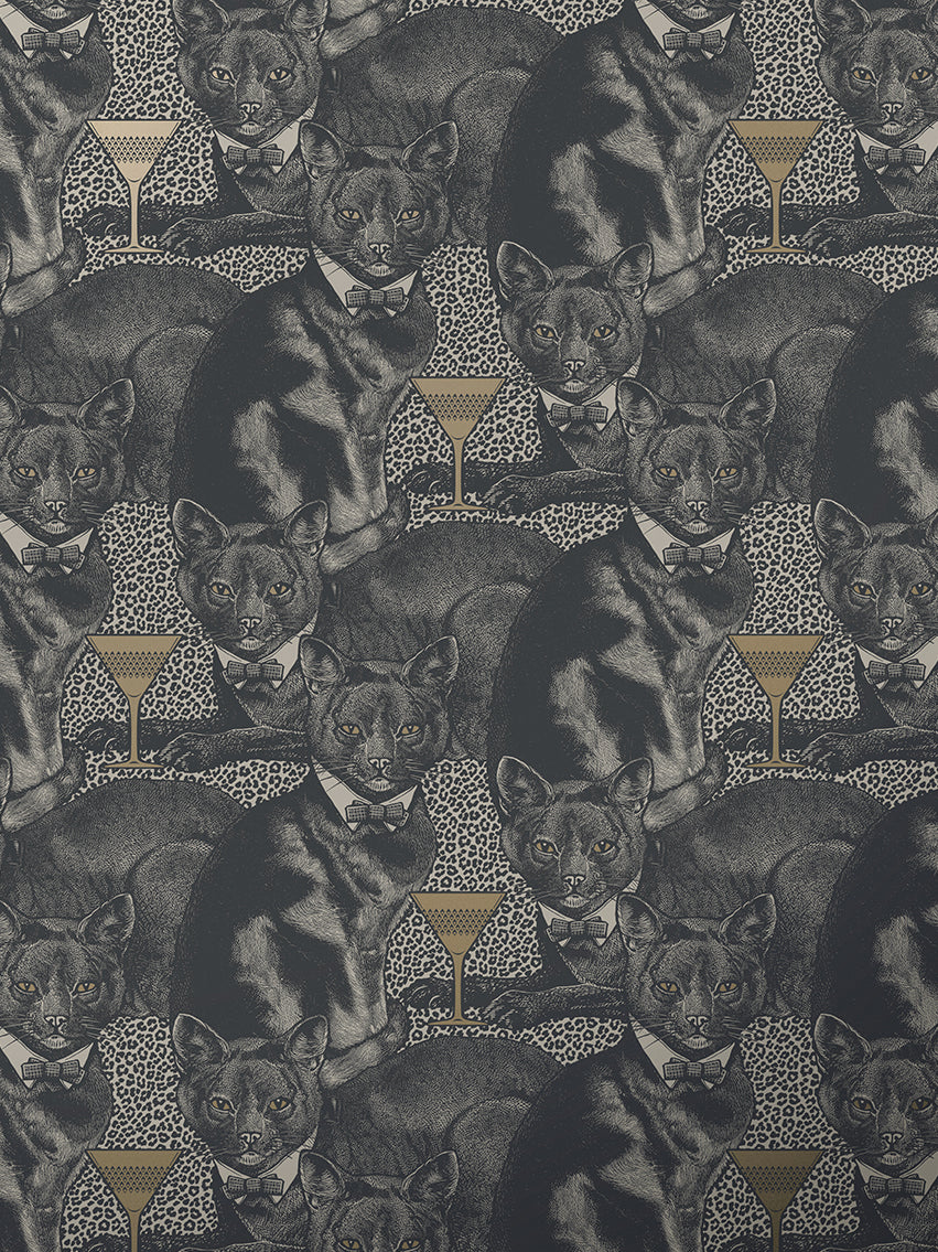 Cat-titude Wallpaper