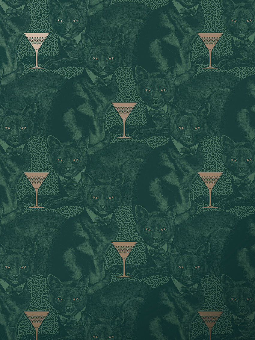 Cat-titude Wallpaper