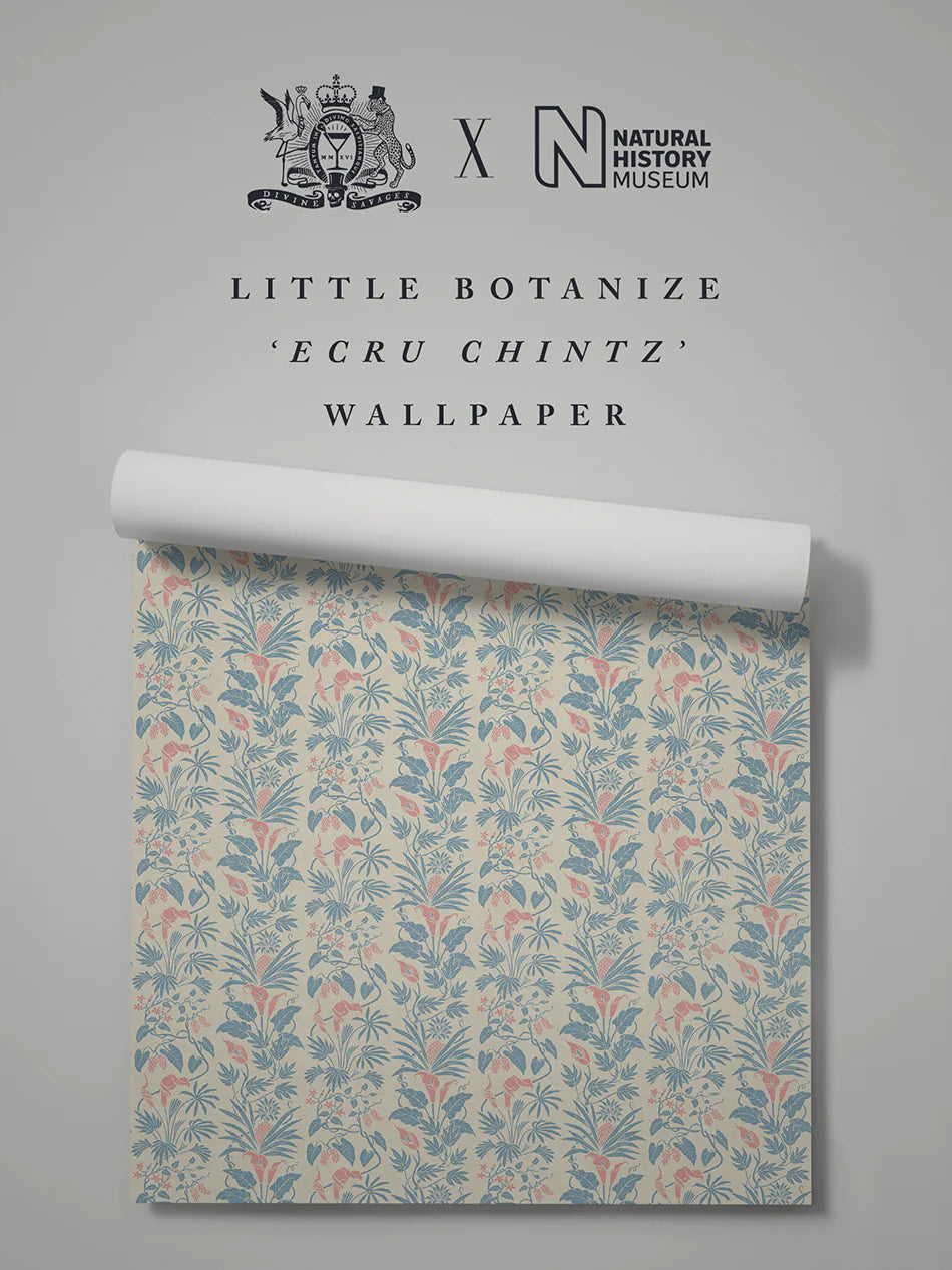 Little Botanize 'Ecru Chintz' Wallpaper