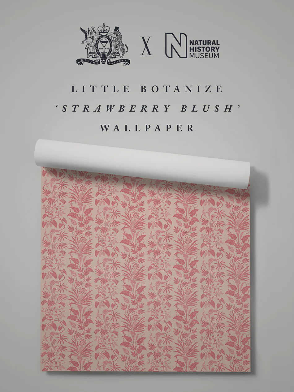 Little Botanize 'Strawberry Blush' Wallpaper
