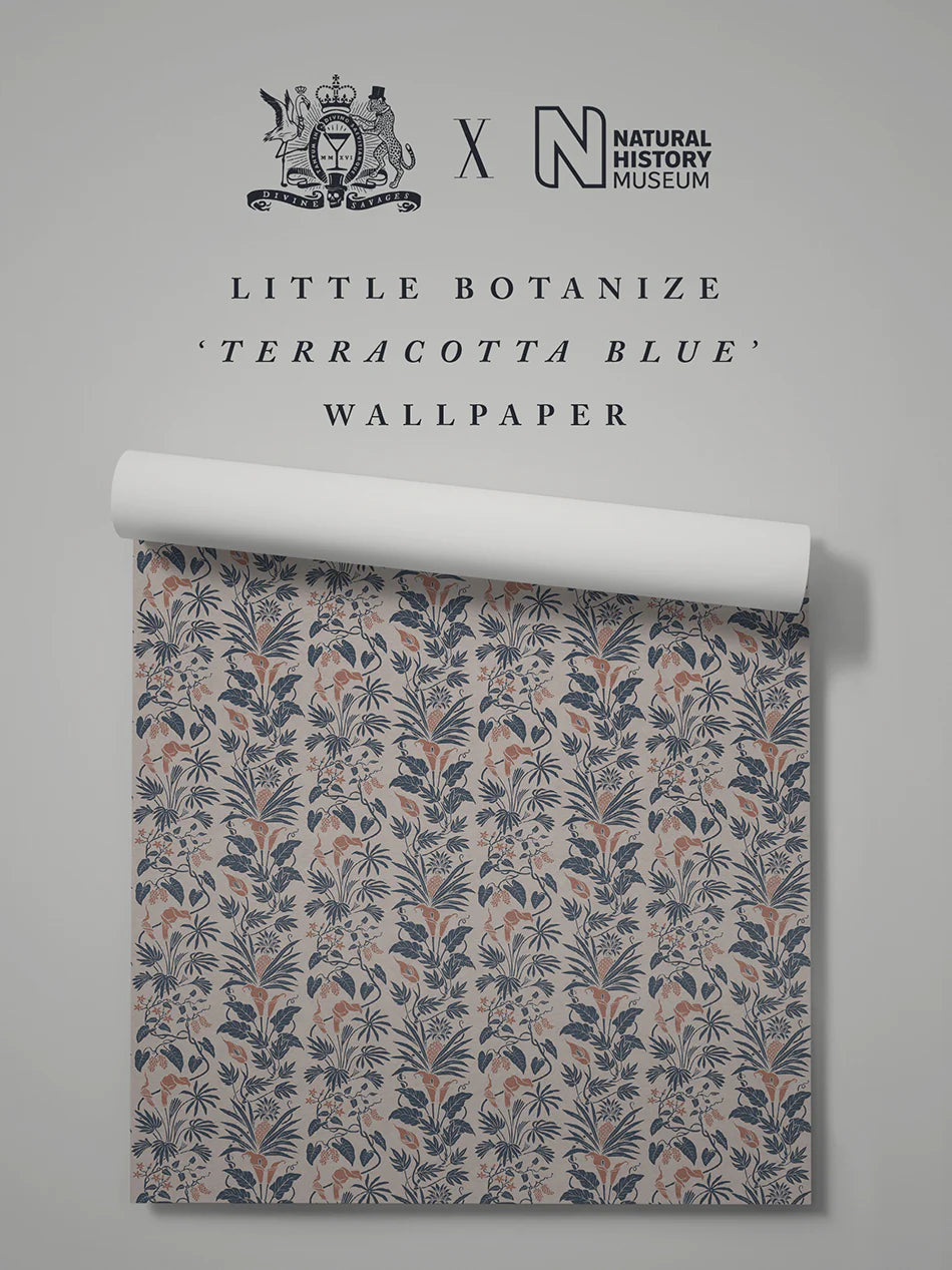 Little Botanize 'Terracotta Blue' Wallpaper
