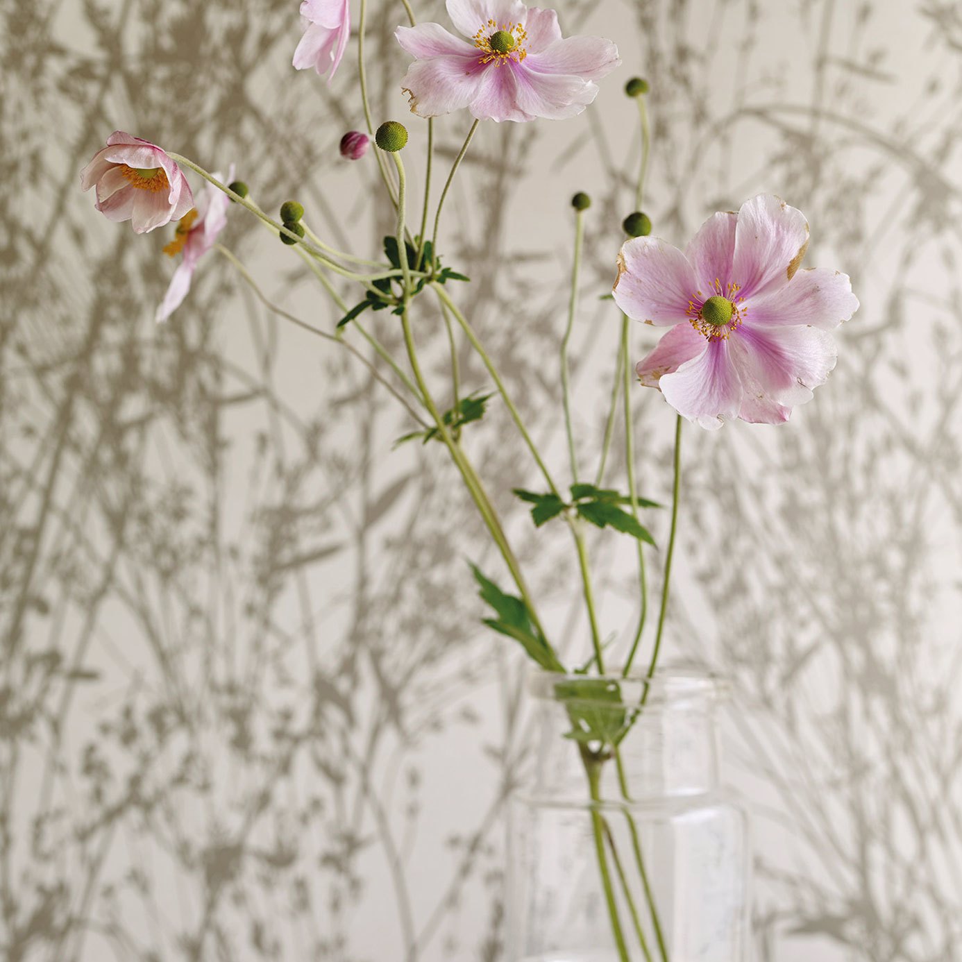 Meadow Canvas Wallpaper - White/Parchment - DWOW215695