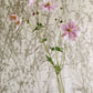 Meadow Canvas Wallpaper - White/Parchment - DWOW215695