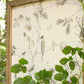 Woodland Chorus Wallpaper - Sepia/Neutral - DWOW215704