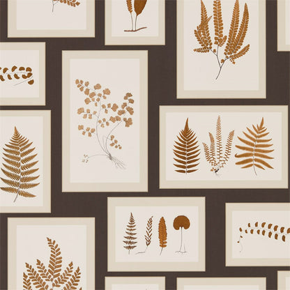 Fern Gallery Wallpaper - Charcoal/Spice - DWOW215713