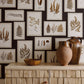 Fern Gallery Wallpaper - Charcoal/Spice - DWOW215713
