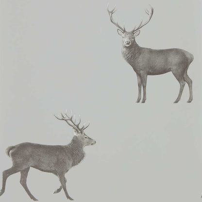 Evesham Deer Wallpaper - Silver Grey - DYSI216619