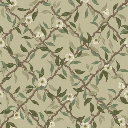 Espalier Wallpaper - Sage Green - Summer Gray
