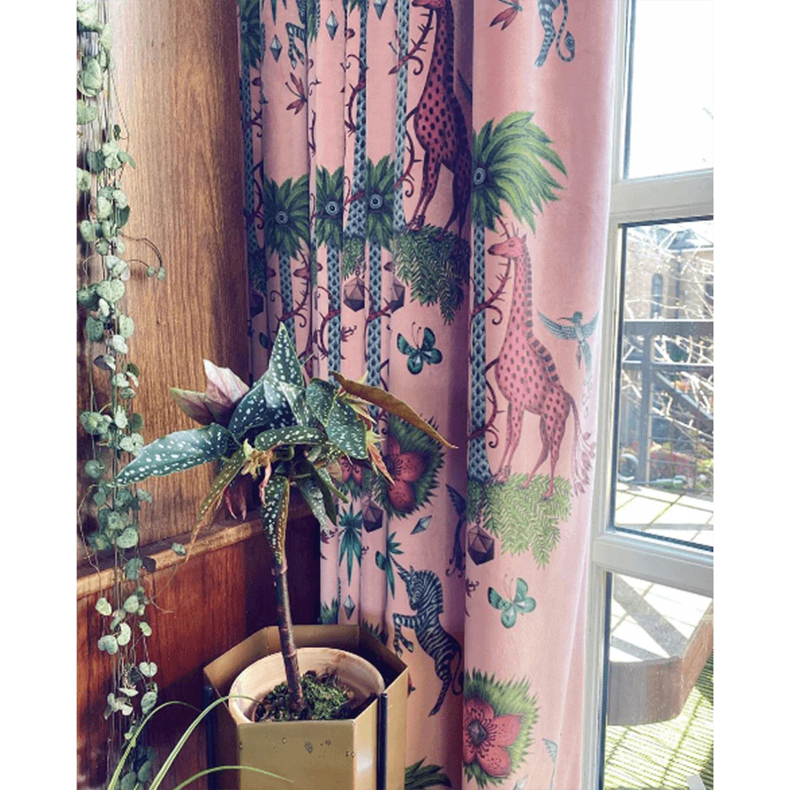 Creatura Velvet Fabric - Pink - Emma J Shipley