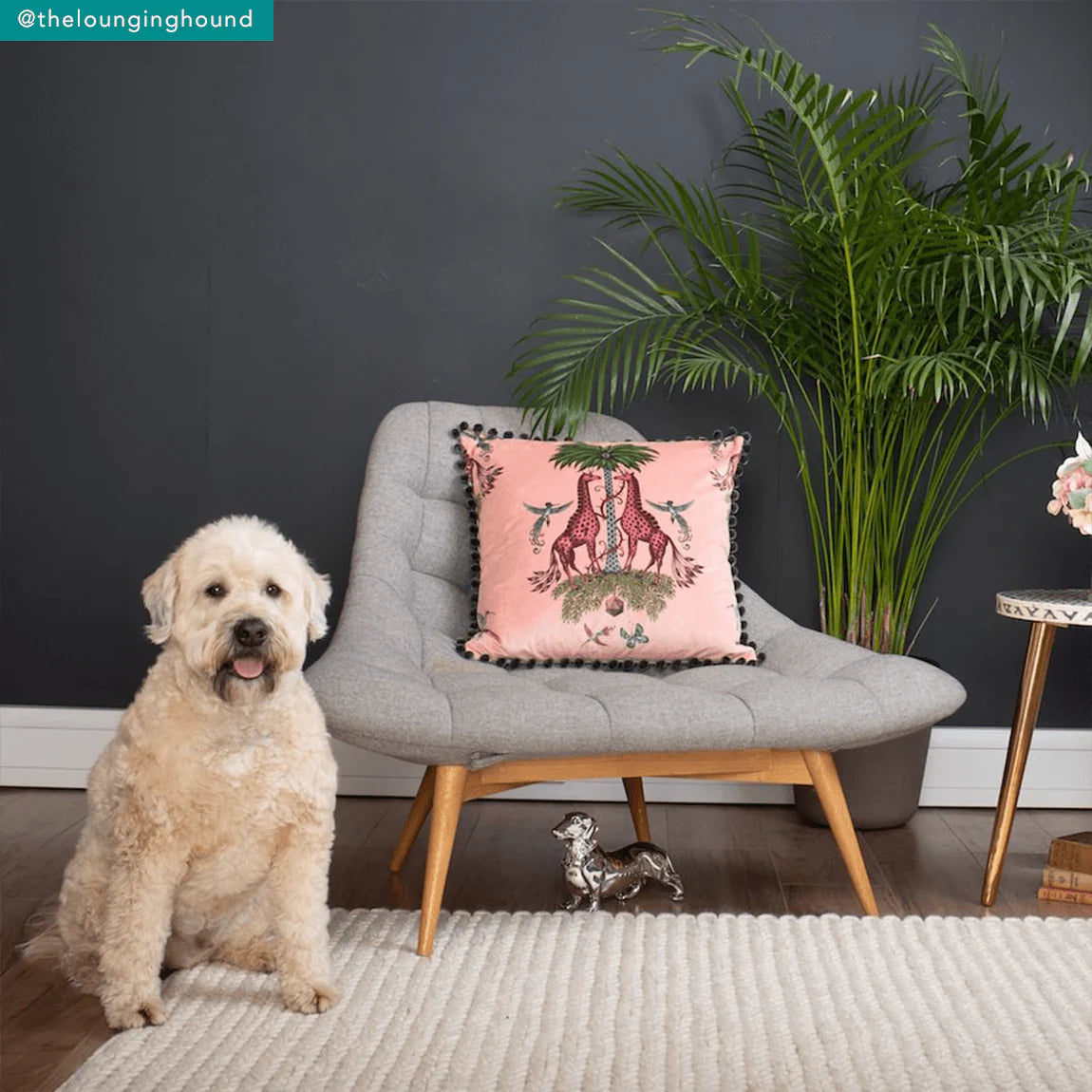 Creatura Velvet Fabric - Pink - Emma J Shipley