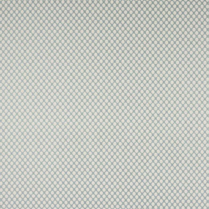 Radnor Fabric - Blue - Colefax and Fowler