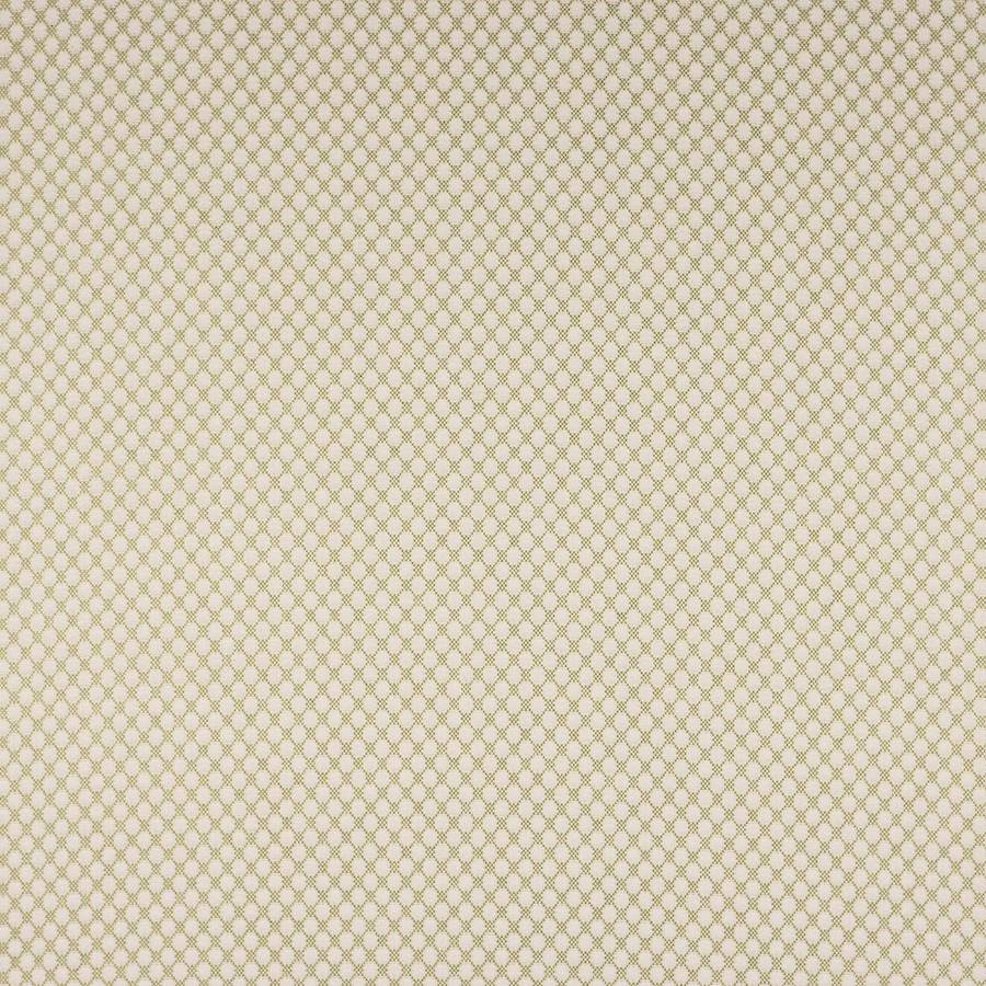 Radnor Fabric - Green - Colefax and Fowler