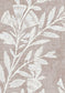 Fan Flower Shell Wallpaper - Lewis & Wood