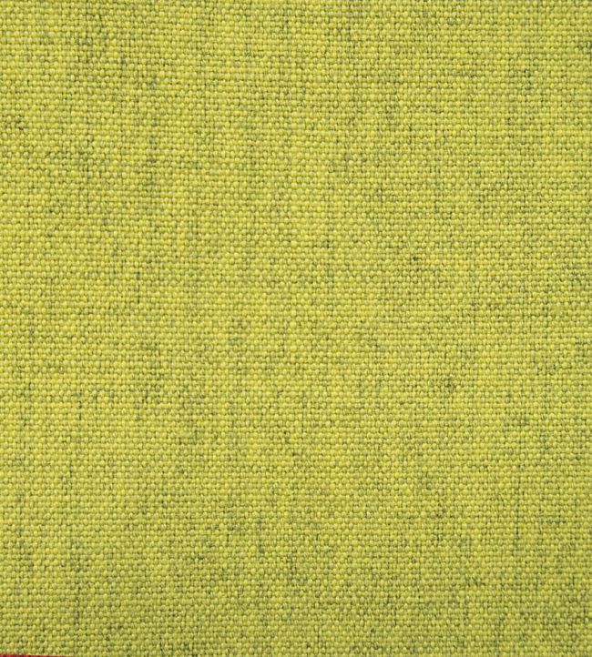 Kuu Fabric - Green - Gaston y Daniela