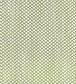 Sabuki Fabric - Green - Gaston y Daniela