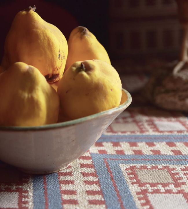 Chihuahua Fabric - Blue - Gaston y Daniela