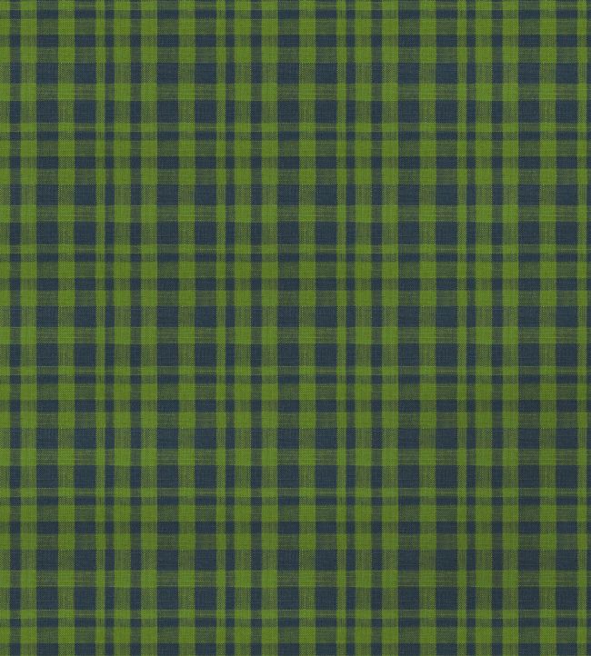 Drach Fabric - Green - Gaston y Daniela