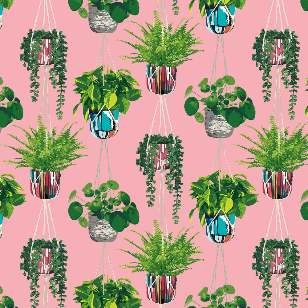 Houseplant Wallpaper
