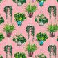 Houseplant Wallpaper