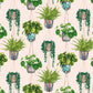 Houseplant Wallpaper