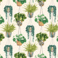 Houseplant Wallpaper