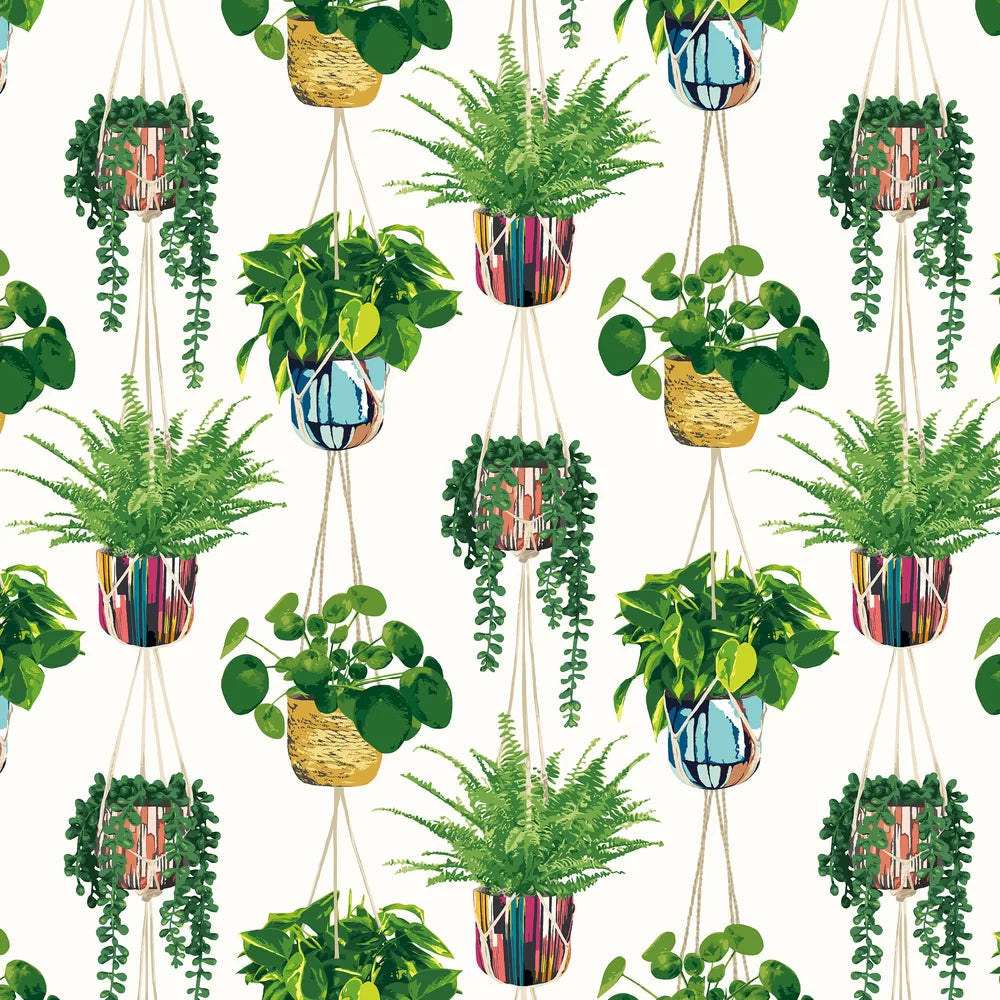 Houseplant Wallpaper