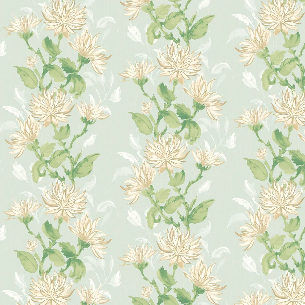 Kiku Wallpaper
