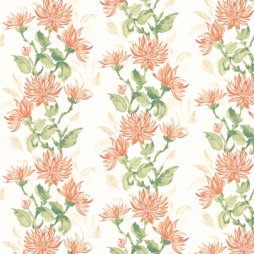 Kiku Wallpaper