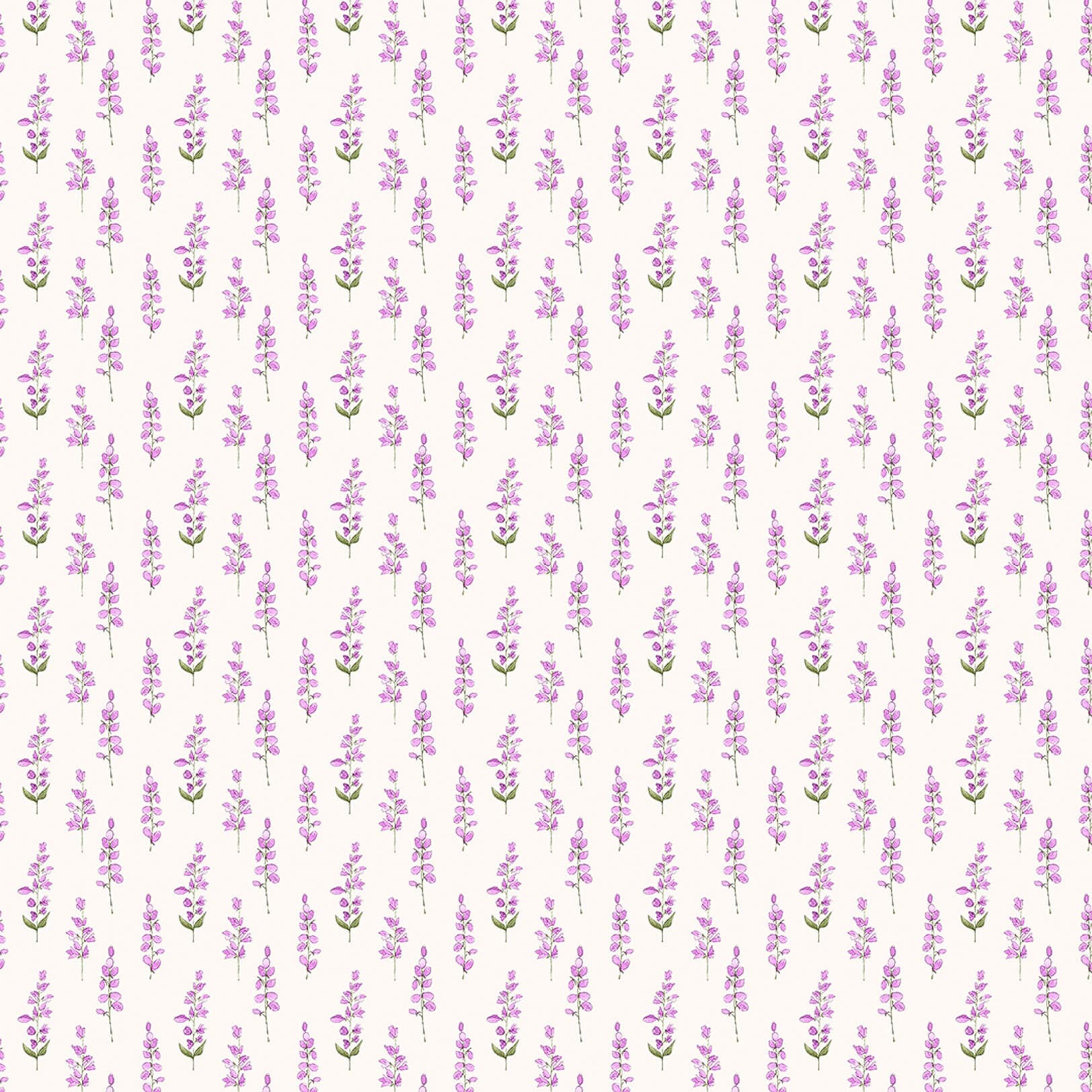 Helaine Fuchsia Ecru Lomond Pima Lawn Cotton - Dress Fabric