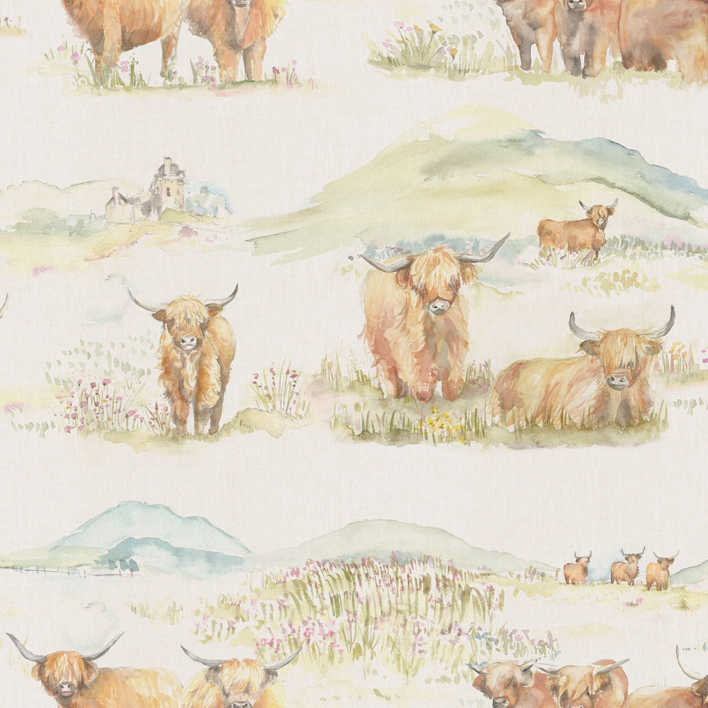 Highland Wallpaper