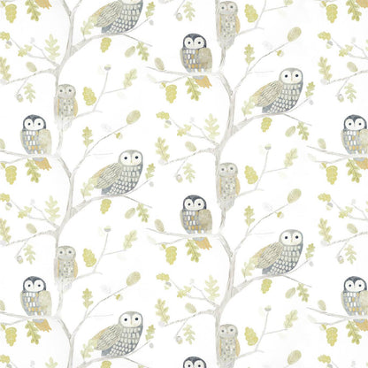 Little Owls Wallpaper - Kiwi - HLTF112627