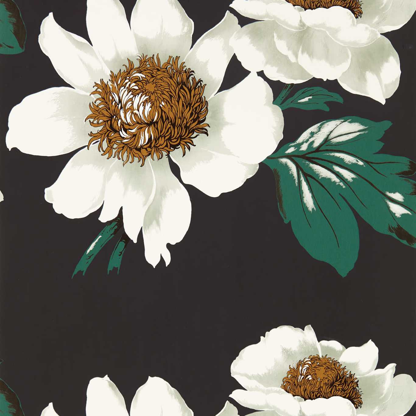 Paeonia Wallpaper - Black Earth/Fig Leaf/ Gold - HQN2112841