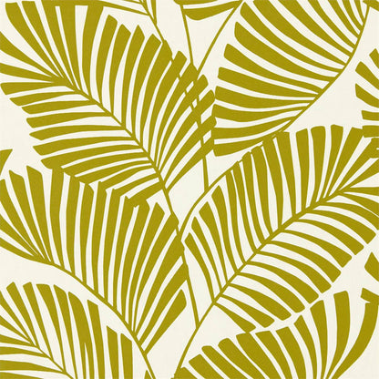Mala Wallpaper - Citrus - HSAW112137