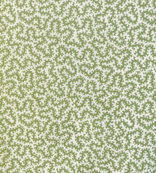 Petra Fabric - Green