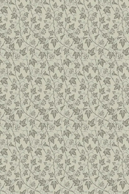 Ivy Wallpaper - Eddy - 6100