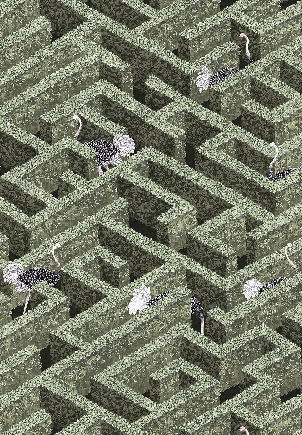 Labyrinth with Ostrich Wallpaper | Eucalyptus