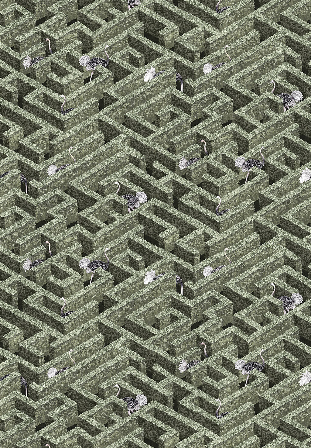 Labyrinth with Ostrich Wallpaper | Eucalyptus