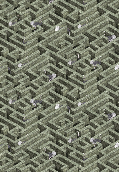 Labyrinth with Ostrich Wallpaper | Eucalyptus