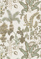 Woodland Floor Wallpaper | Soft Olive