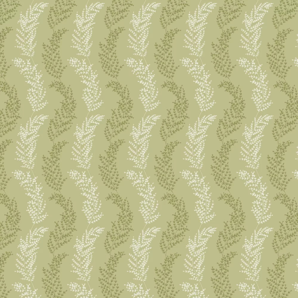 Mimosa Trail Wallpaper