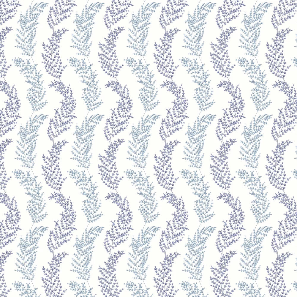 Mimosa Trail Wallpaper