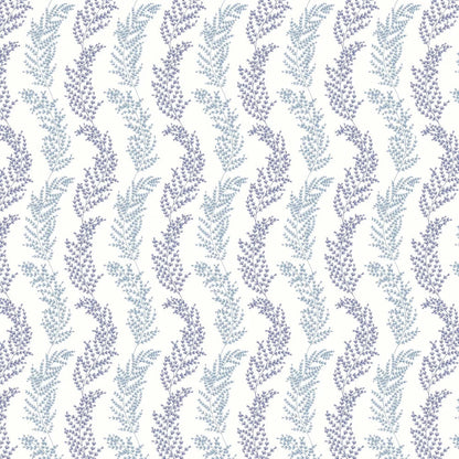 Mimosa Trail Wallpaper