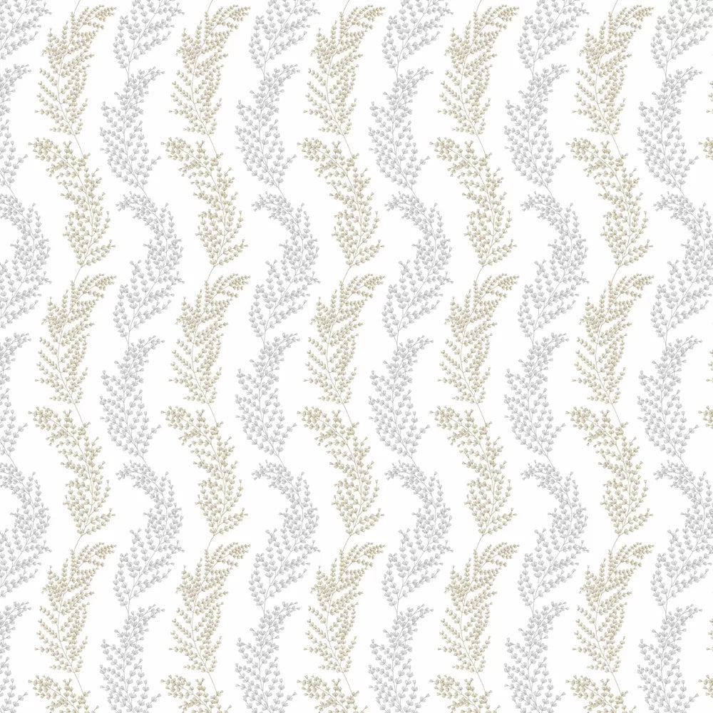 Mimosa Trail Wallpaper